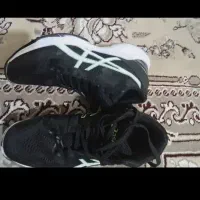 کفش والیبال