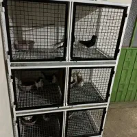 ساخت انواع قفس های  تاشو و ساده