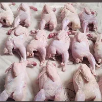 ۲تن گوشت بلدرچین