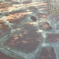 زمین مزروعی سند تک برگ ششدانگ