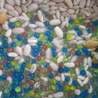 تیله وصدف