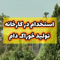 فروشنده تلفنی حرفه ای خانم