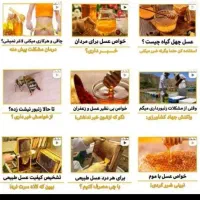 ادمین حرفه‌ای اینستاگرام هستم|خدمات رایانه‌ای و موبایل|گلستان (تهران), |دیوار