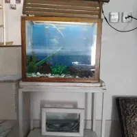 آکواریوم جمع جور