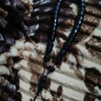 فروش تسبیح سندلوس