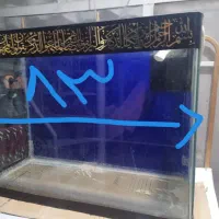 آکواریوم|ماهی|مشهد, توس (بلوار توس)|دیوار