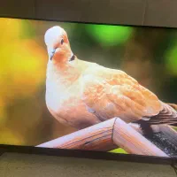 تلوزیون 50 اینچ جی پلاس4k اسمارت استوک نمایشگاهی