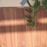 صفح تاپس کابینتی نو رنگ گردویی