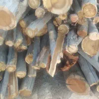 چوب خورد شده