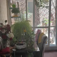 اجاره خانه ویلایی ۶۵ متری ۱ خوابه در ابوریحان