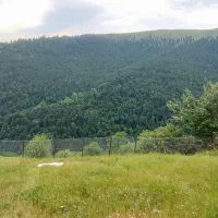 زمین ۲۵۰ م سنگرسراوان گیلان دهبنه قاضیان