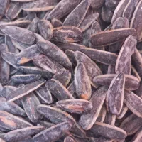 لوبیاقرمزوچیتی تخمه کشمش بادوم زمینی|خوردنی و آشامیدنی|بروجرد, |دیوار