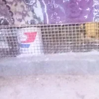قفس کفتر بزرگ|لوازم جانبی حیوانات|خاش, |دیوار