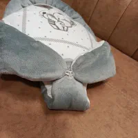 آغوشی در حد نو|کالسکه و لوازم جانبی|یزد, |دیوار