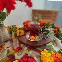 قند و ونبات فانتزی (گیاهی و دمنوشی)