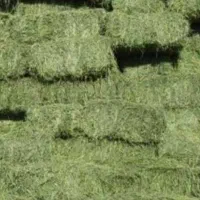 یونجه خورد شده درجه یک