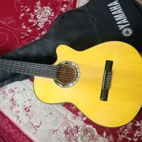 گیتار|گیتار، بیس، امپلیفایر|مریوان, |دیوار