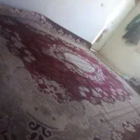 دو جفت قالی قدیمی جنس خوب|فرش|شیراز, محراب|دیوار
