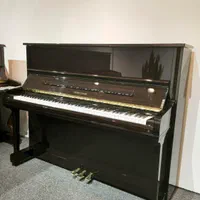 پیانو یانگ چانگ فروش انحصاری برند YANG CHANG