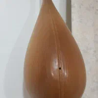 دوتار استادی دومهر|سازهای سنتی|زیرکوه, |دیوار