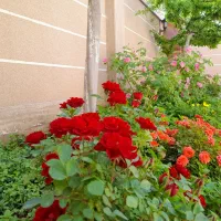 ویلایی گلبهار معاوضه با ویلا شمال و آپارتمان مشهد|فروش آپارتمان|مشهد, آزادشهر|دیوار