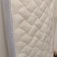 تشک نوجوان رویا، پلمپ