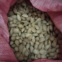 برنج روغن شکر قند رب تن ماهی گردو حبوبات عسل شکلات|خوردنی و آشامیدنی|بیرجند, |دیوار