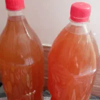 جانوشابه ای یک ونیم لیتری فقط۱۰۰