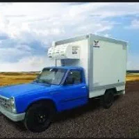 راننده  نیسان یخچال دار پایه دو.