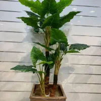 درخت مصنوعی و درختچه گل مصنوعی|گل مصنوعی|کازرون, |دیوار