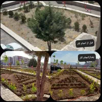 خدمات باغبانی(صفرتاصد)