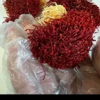 دسته درجه یک قایینات و گزیگ