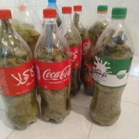 برگ مو تازه انگور بی دانه دونه ای ۱۰۰