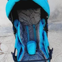 کالسکه دلیجان|کالسکه و لوازم جانبی|کرمان, |دیوار