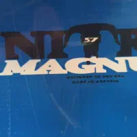 اسنوبرد نیترو بوت فلو فیکس برتون