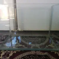 آکواریوم|ماهی|سقز, |دیوار