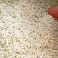 برنج هاشمی اصل گیلان ،طارم خوشپخت خوشمزه|خوردنی و آشامیدنی|ری, شهید غیوری (ابن باویه)|دیوار