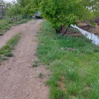 ۲هکتار باغ بر اتوبان تهران به زنجان معاوضه باماشین|فروش زمین و ملک کلنگی|صائین قلعه, |دیوار