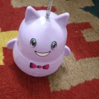 لوازم گربه