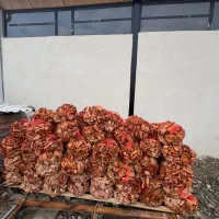 ذغال چوب راش اتش