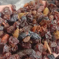 فروش ویژه کشمش افتابی تاکستان|خوردنی و آشامیدنی|تاکستان, |دیوار