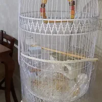 قفس پایه دار سفید