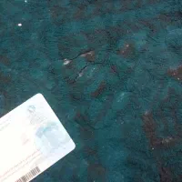 کارت ملی گم کردم