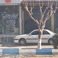 اجاره مغازه ۱۰۰ متری جنب نمایندگی ایرانخودرو جعفری