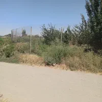 ۳۵۰متر زمین بعد از باشگاه علی آباد|فروش زمین و ملک کلنگی|همدان, |دیوار