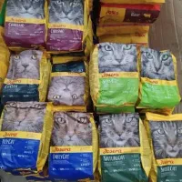 غذای خشک گربه و سگ وارداتی