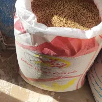 خوراک دام طیور