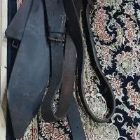 هیکلی گاومیش