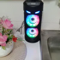 باند نونو باکارتن