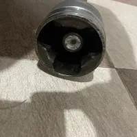 مشعل زانیتا وشفت